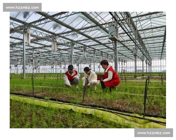 白云气象 “精准化陪伴”:护航十五运蹦床赛事 白云气象 “精准化陪伴”:护航十五运蹦床赛事